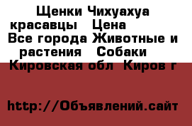 Щенки Чихуахуа красавцы › Цена ­ 9 000 - Все города Животные и растения » Собаки   . Кировская обл.,Киров г.